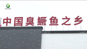 【新春走基层】臭鳜鱼复工忙 非遗美食飘香迎春