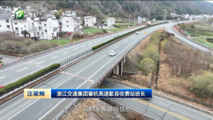 春节假期接近尾声  杭瑞高速徽杭段迎来返程高峰