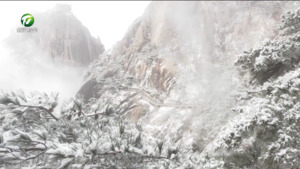 黄山风景区：雪后初霁 游客纷至沓来