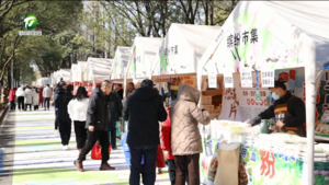 简讯 第三届梅花美食周暨动漫艺术活动举行