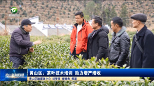 简讯 黄山区：茶叶技术培训 助力增产增收