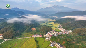 简讯 全市耕地面积总量连续两年实现净增加
