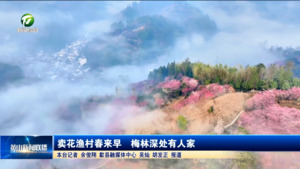 卖花渔村春来早  梅林深处有人家