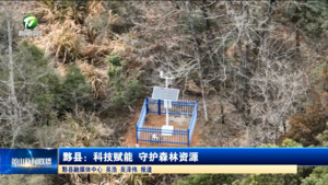 黟县：科技赋能 守护森林资源