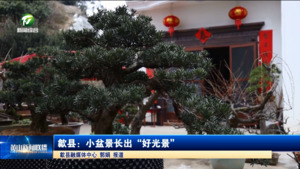 歙县：小盆景长出“好光景”