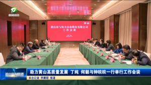 助力黄山高质量发展 丁纯何毅与钟睒睒一行举行工作会谈