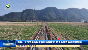 黟县：大力发展高标准农田项目建设  助力县域农业高质量发展
