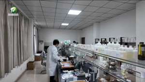 【比发展 讲奉献 重实干】创新驱动 绿色赋能:探访黄山市晶特美新材料有限公司的转型密码