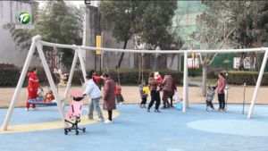 歙县：梅花绽放引客来 城市焕新便民生