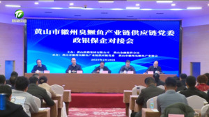 黄山市徽州臭鳜鱼产业链供应链党委政银保企对接会召开