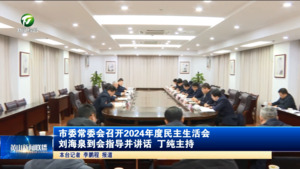市委常委会召开2024年度民主生活会 刘海泉到会指导并讲话 丁纯主持