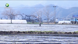 徽州区：“小田”变“大田” “蔬”写兴农篇章