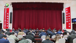 丁纯在2024年度区县委（工委）书记抓基层党建工作述职评议会议上强调 压紧压实管党治党政治责任 为谱写中国式现代化黄山篇章提供坚强组织保障