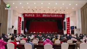 跟党奋进新征程 巾帼建功新时代 我市举行纪念“三八”国际妇女节115周年大会