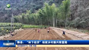 黟县：“林下经济”绘就乡村振兴致富路
