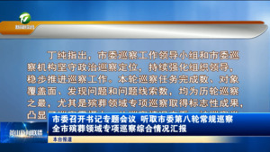 市委召开书记专题会议 听取市委第八轮常规巡察、全市殡葬领域专项巡察综合情况汇报