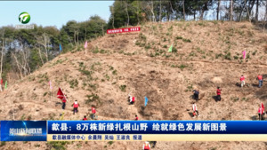 歙县：8万株新绿扎根山野 绘就绿色发展新图景