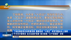 丁纯在推进项目高质量发展 圆满完成“十四五”收官专题会议上强调 千方百计谋项目 全力以赴扩投资 奋力实现“三个往前赶”目标