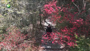 祁门县：建设和美乡村 助力乡村振兴