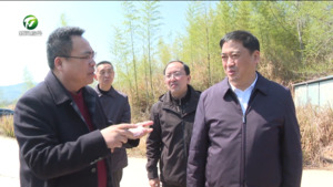 伍春宏率队赴区县开展环境状况和环境保护目标完成情况专题调研