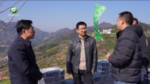 戴炜调研歙县徽派民居风貌整治情况