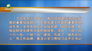 全市新兴领域党建工作座谈会举行 丁纯作出批示