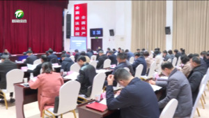 我市部署推进城市功能品质活力提升工作