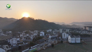 银发经济火热 我市打造康养旅居新消费场景