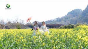 “大美安徽·看黄山”新闻发布会在我市举行