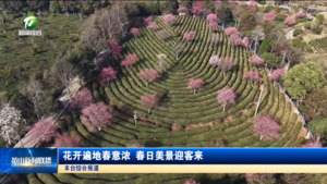 花开遍地春意浓 春日美景迎客来