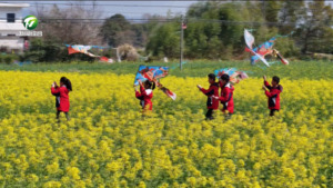 简讯 黟县举办第五届古黟风筝放飞活动
