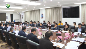 2025年全市繁荣文化和旅游消费打造支柱产业第二次调度会召开