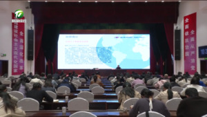 全市宣口部门集中开展DeepSeek专题培训