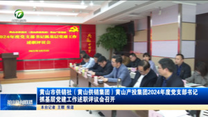 黄山市供销社（黄山供销集团）黄山产投集团2024年度党支部书记抓基层党建工作述职评议会召开