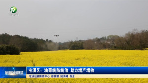 简讯 屯溪区：油菜统防统治 助力增产增收