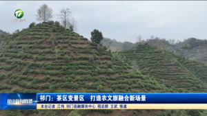祁门：茶区变景区  打造农文旅融合新场景