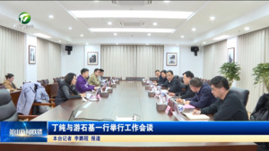 丁纯与游石基一行举行工作会谈
