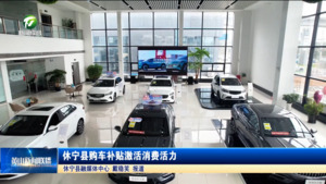 休宁县购车补贴激活消费活力
