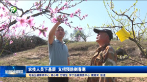 农技人员下基层 支招预防倒春寒
