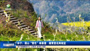 简讯 休宁：漫山“雪色”映春意  踏青赏花两相宜