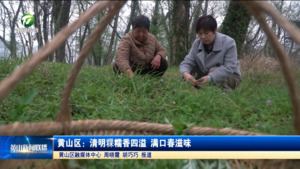 简讯 黄山区：清明粿糯香四溢 满口春滋味