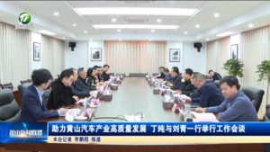 助力黄山汽车产业高质量发展 丁纯与刘青一行举行工作会谈