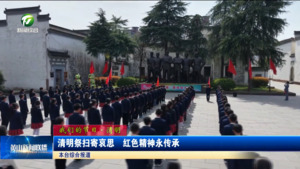 清明祭扫寄哀思  红色精神永传承