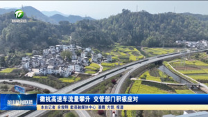 徽杭高速车流量攀升 交管部门积极应对