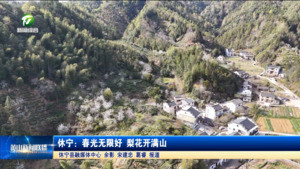 简讯 休宁：春光无限好 梨花开满山