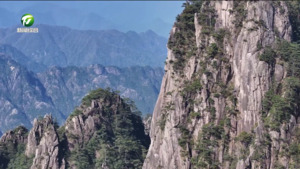 清明假期黄山迎客超9.5万 四海游人尽享春日美景