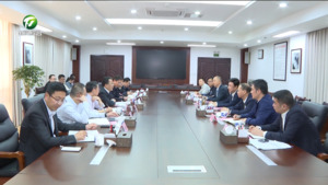 推动形成更多高质量合作成果 丁纯与丁庆领一行举行工作会谈