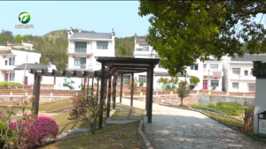 休宁：“和茶铺”里解民忧 基层善治绘和美