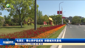 屯溪区：精心养护显成效 扮靓城市风景线