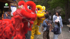 “五一”假期第一天：黄山风景区春色如画 多彩活动绘就假日盛景